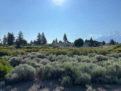 Unit 7-2 Lot 92 Puma Dr unit 7-2, Weed, CA 96094 - photo 5