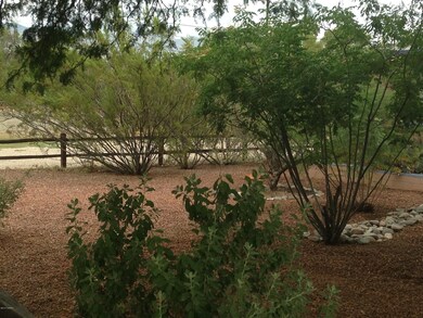 Lush vegetation