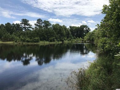 Lot 3 Chow Ln, Conway, SC 29526 - photo 7