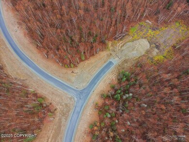 L3 B1 N Sandburg Dr, North Lakes, AK 99654 - photo 7