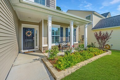 249WeepingCypress005