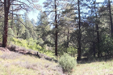 290 Wits End Place, Pagosa Springs, CO 81147 - photo 5