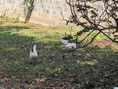 18 &19 County Highway 13 unit 18 & 19, Locust Fork, AL 35097 - photo 7