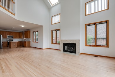 16W234 91st St, Burr Ridge, IL 60527 - photo 6