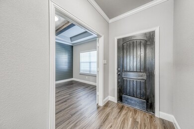 517 Payne Ln, Springtown, TX 76082 - photo 2