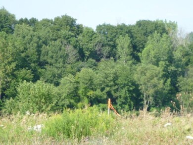 Vacant Land 10 acres 03