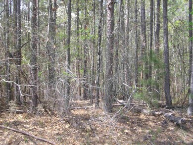 107 Mariners Dr NE, Milledgeville, GA 31061 - photo 4