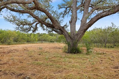 Tbd Cr 171, Nixon, TX 78140 - photo 4