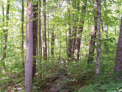 00 Borough Rd, Canterbury, NH 03224 - photo 7