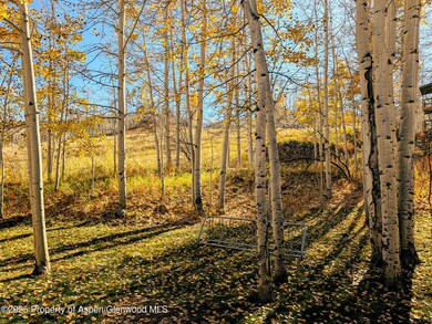 690 Carriage Way unit C2g, Snowmass Village, CO 81615 - photo 7