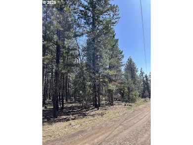 4 Thompson Trail, Goldendale, WA 98620 - photo 4