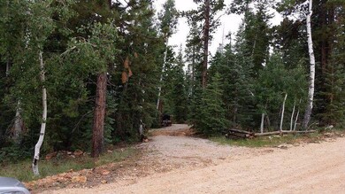 6-Hidden Amongst the Tall Pines