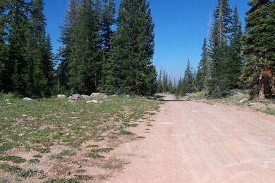 1002 E Ridge Top Dr unit CBMHS unit B b-B lot, Brian Head, UT 84719 - photo 5