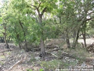 19631 Terra Mont, San Antonio, TX 78255 - photo 5