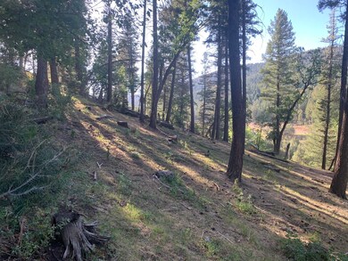 0 Canyon Trail unit 85 168237, Cloudcroft, NM 88317 - photo 5