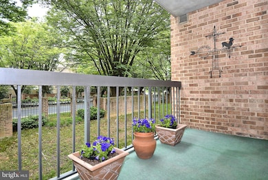 11419 Commonwealth Dr unit 102, Rockville, MD 20852 - photo 3