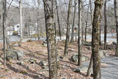 800 W Whippletree Ct, Lords Valley, PA 18428 - photo 4