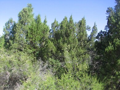 Red Deer Lot  Irene 001