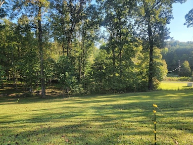 2285 Euchee Chapel Rd, Spring City, TN 37381 - photo 6