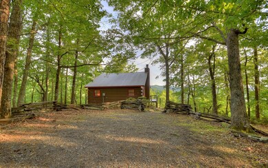 460 Forest Dr, Morganton, GA 30560 - photo 3