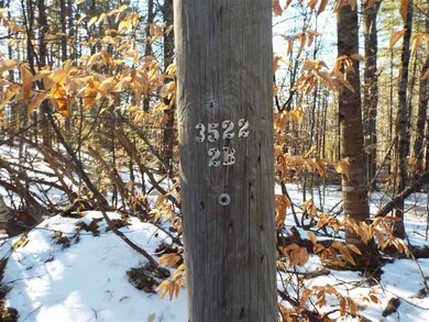 117 Gorman Terrace, Wakefield, NH 03872 - photo 2