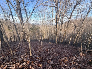 1290 Highway 3249, Stanford, KY 40484 - photo 2