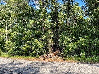 0 Fay Hart Rd, Fayetteville, NC 28306 - photo 5