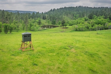 TBD Rocking H Ranch, Hulett, WY 82720 - photo 5