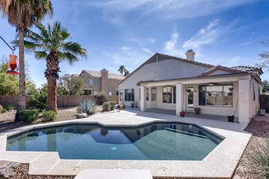 Backyard / Pool