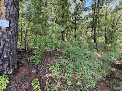 TBD County Road 4194, Henderson, TX 75654 - photo 3