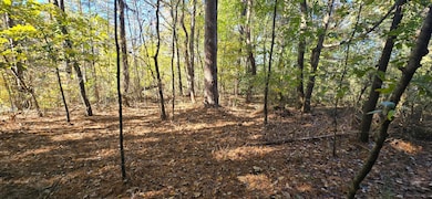 27 Foster, Lafayette, GA 30728 - photo 2