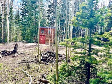 251 & 237 N Forest Dr unit Lots 19 & 20, Brian Head, UT 84719 - photo 5