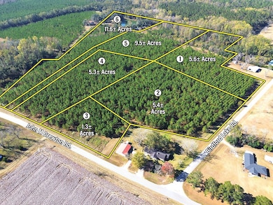 Birdford Lake Rd, Glennville, GA 30427 - photo 2