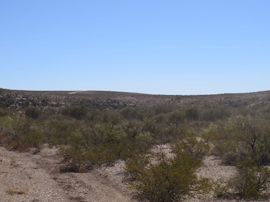 0 Shafter Crossing Rd, Dryden, TX 78851 - photo 3