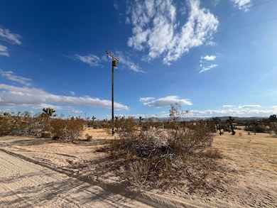 0 Campanula St unit 219138998DA, Yucca Valley, CA 92284 - photo 2
