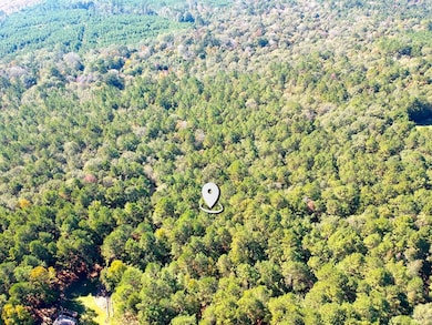 0 County Road 3568, Woodville, TX 75979 - photo 6