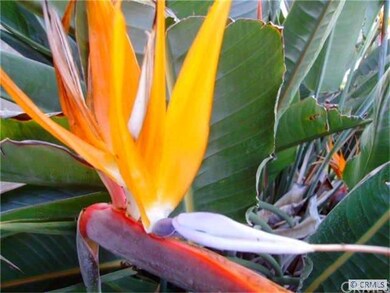 mature landscaping
