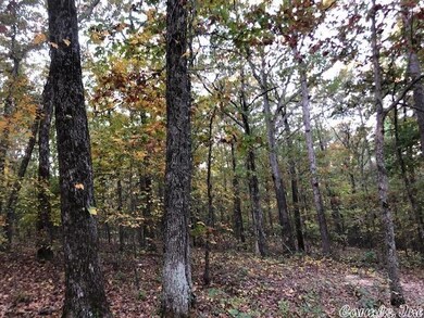 614 Cr 765, Brookland, AR 72417 - photo 3