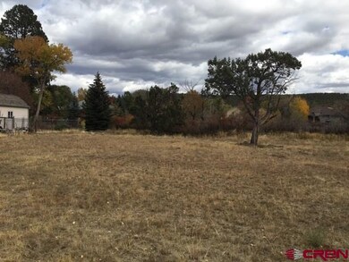 1145 SE 3rd St, Cedaredge, CO 81413 - photo 2