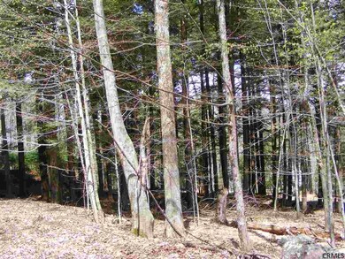 0 Eastern Ave unit 201334613, Day, NY 12835 - photo 4