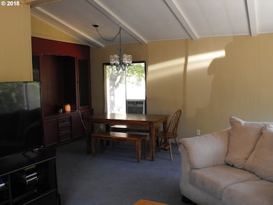 200 Scenic Dr N, Canyon City, OR 97820 - photo 5