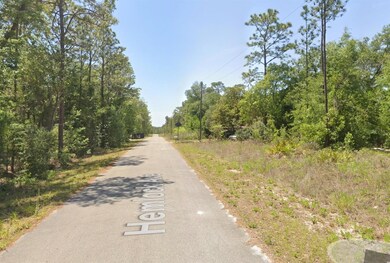 TBD NW Hemlock Ave, Dunnellon, FL 34431 - photo 6