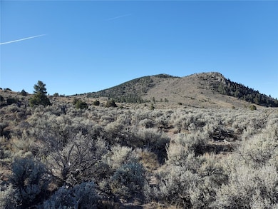 Lot 4601 Miller Rd unit 4601, Fort Garland, CO 81133 - photo 6