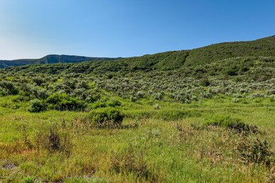 meadow4