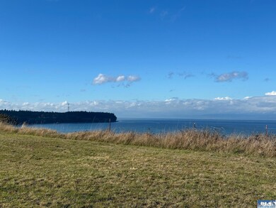 1323 S McDonald St unit 13C, Port Angeles, WA 98363 - photo 5