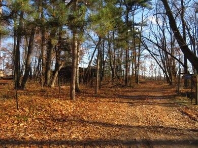 View from Township road.
