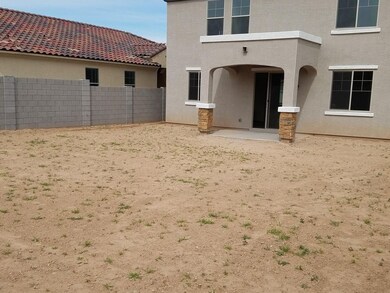 Large Backyard