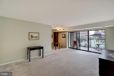 6145 Leesburg Pike unit 104, Falls Church, VA 22041 - photo 7