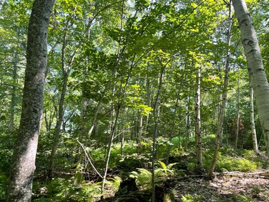 IMG_0824