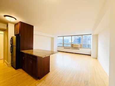 unlisted-address, Chicago, IL 60613 - photo 3